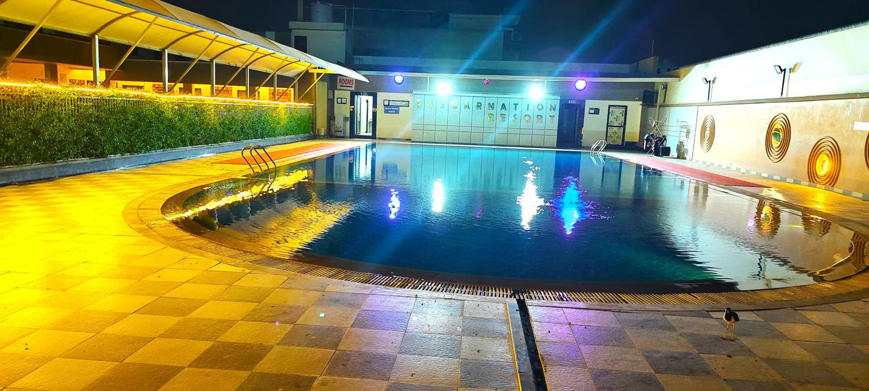 THE CARNATION HOTEL & Resort