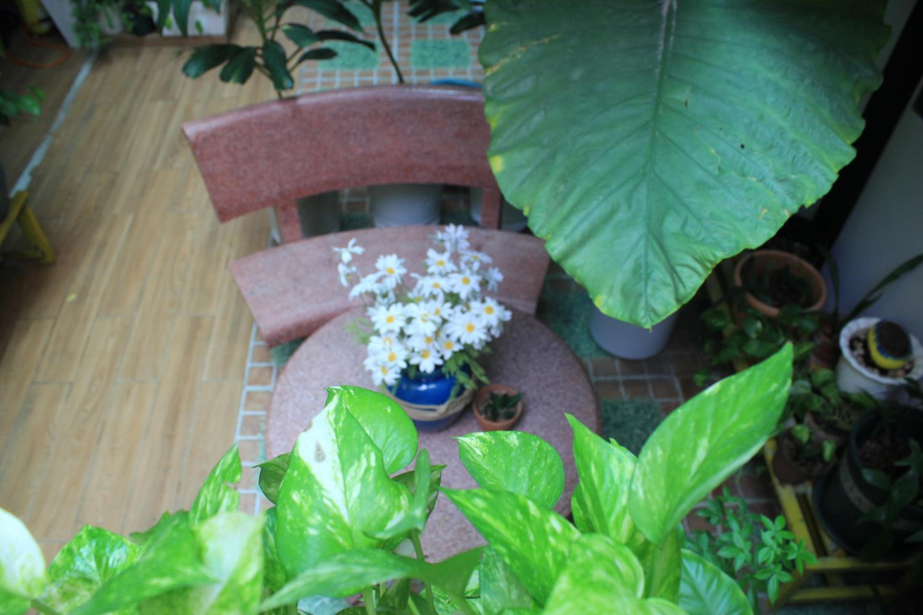 Vania House HoChiMinh