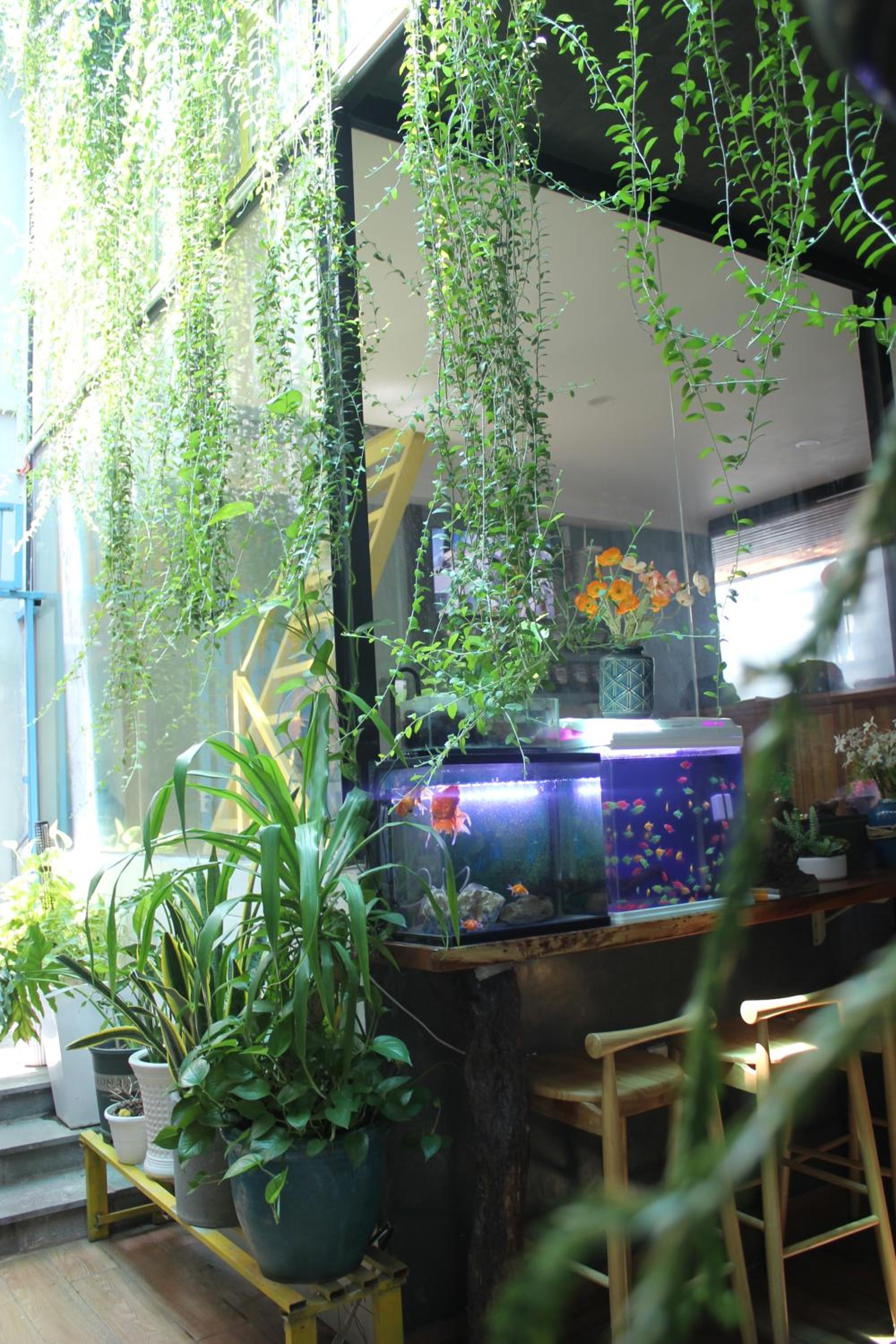 Vania House HoChiMinh