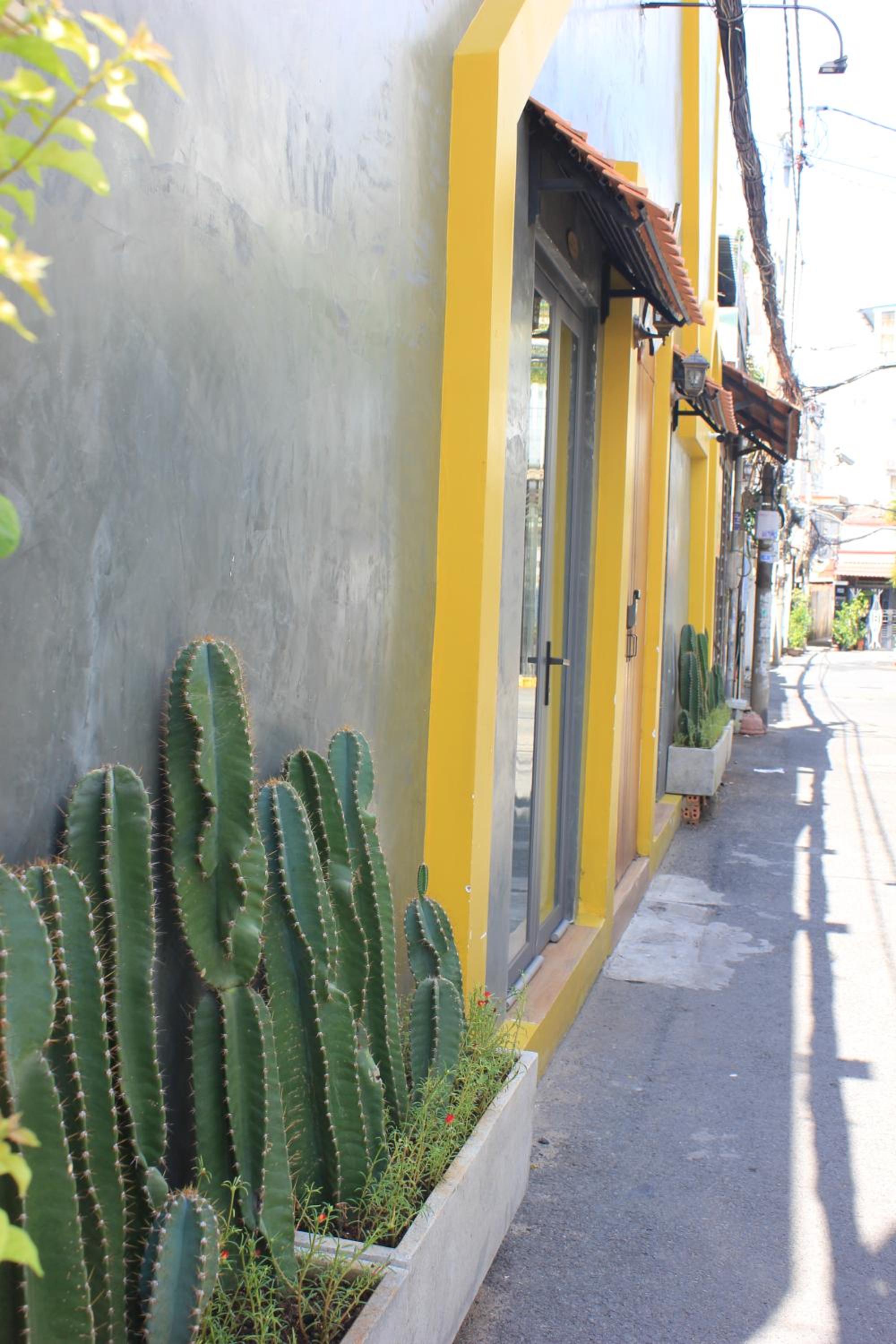 Vania House HoChiMinh