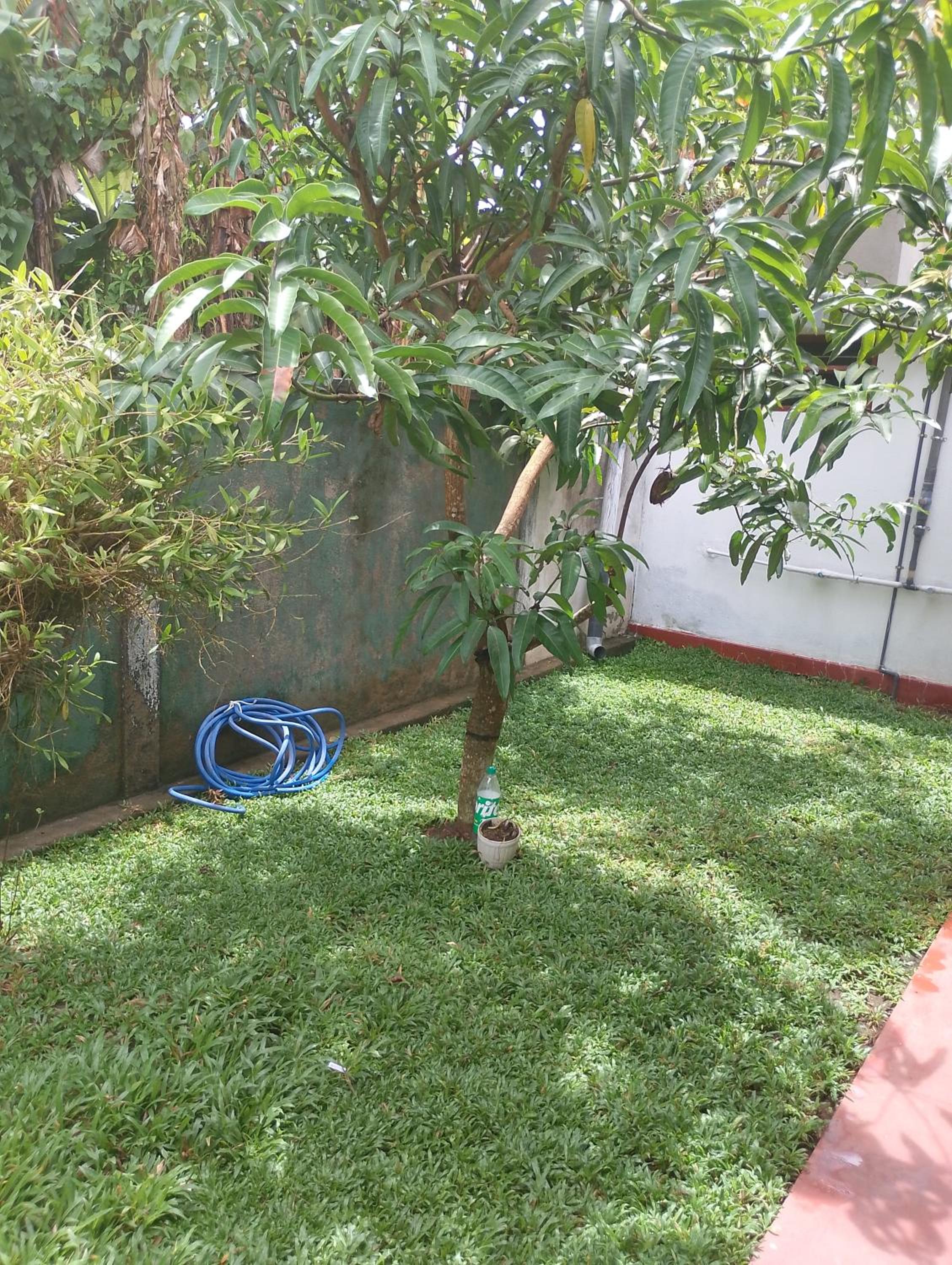 Photo 25