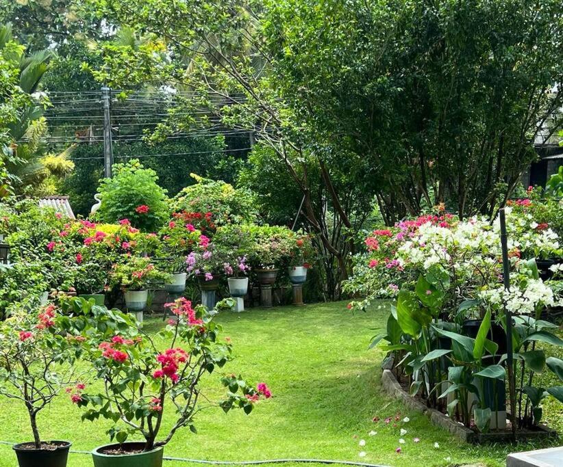 The Flowery Home view 5