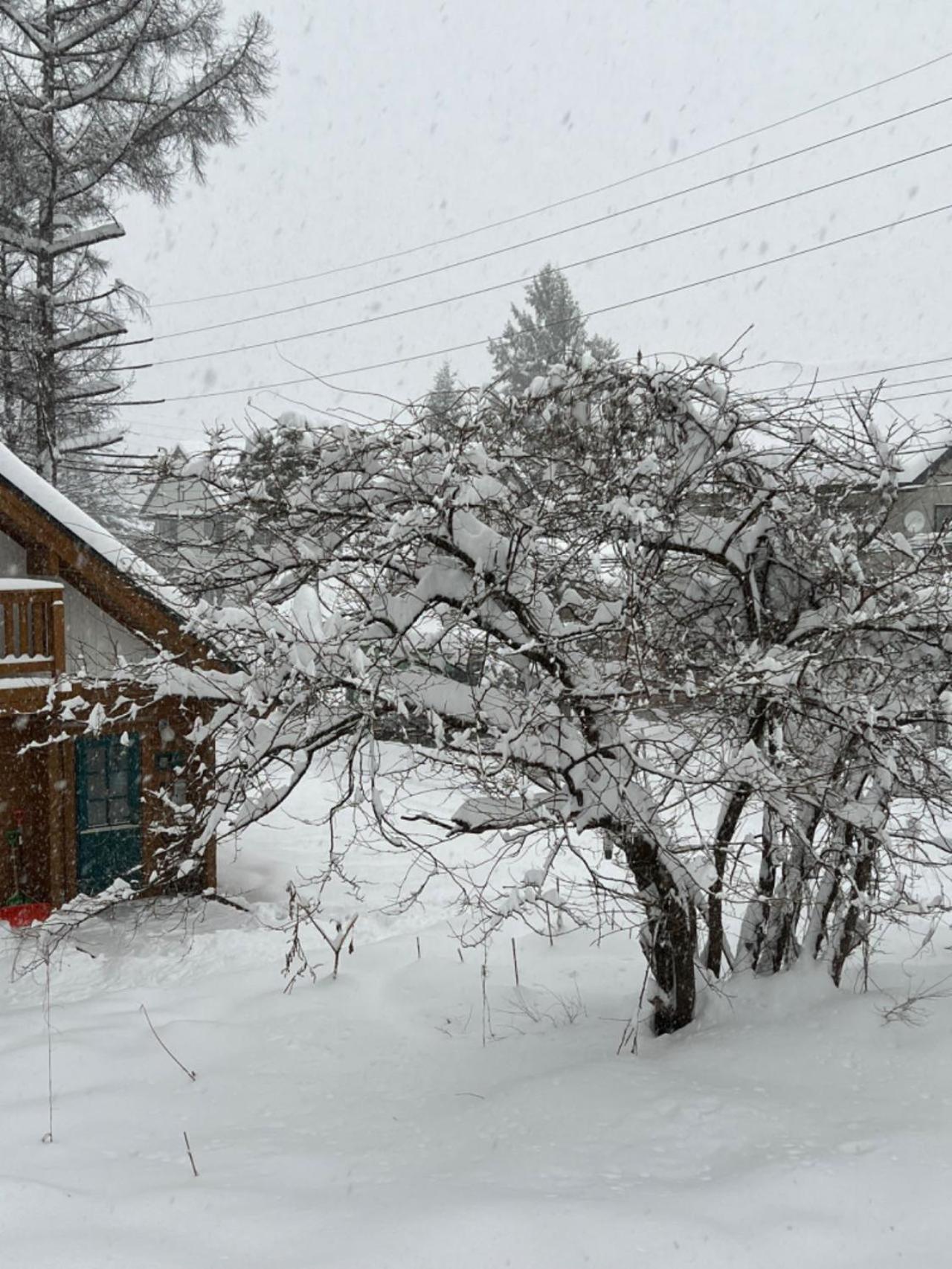 Echo GuestHouse