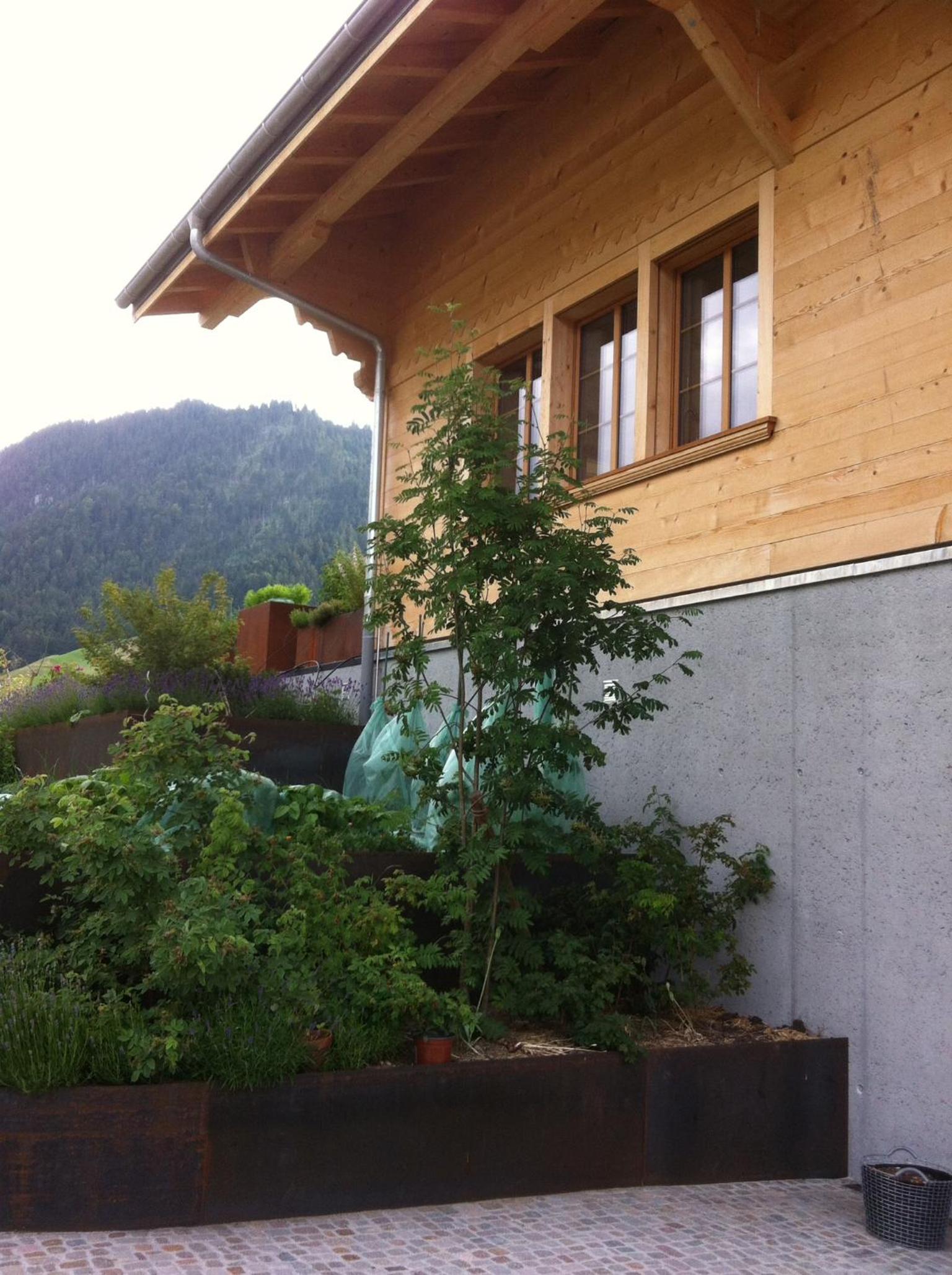 Photo 17