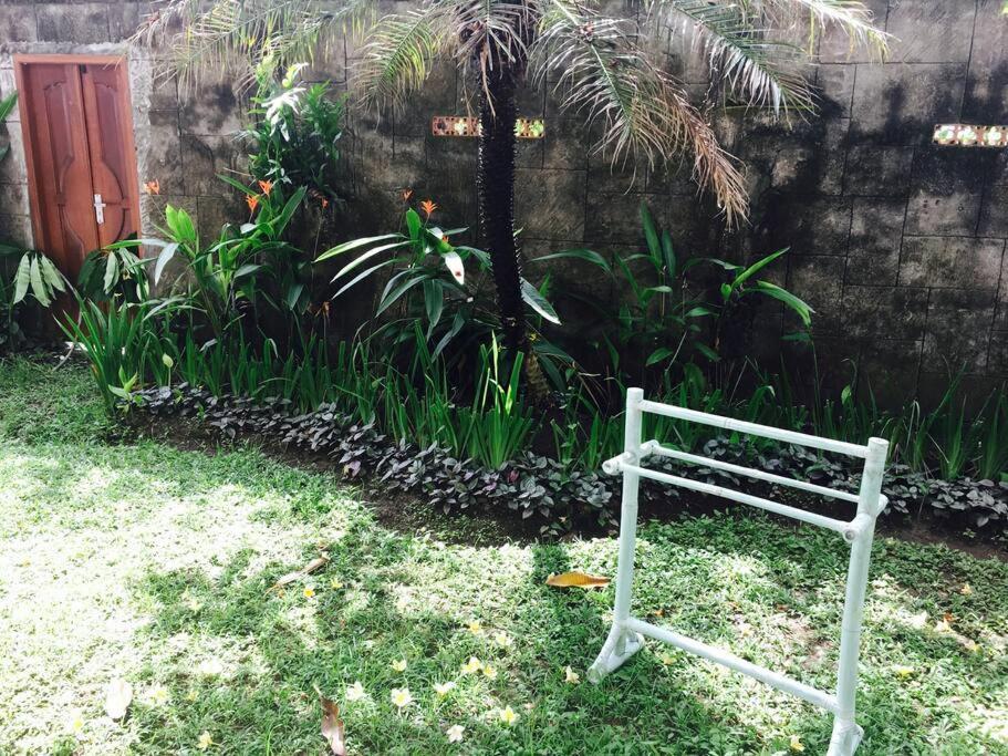 Photo 32
