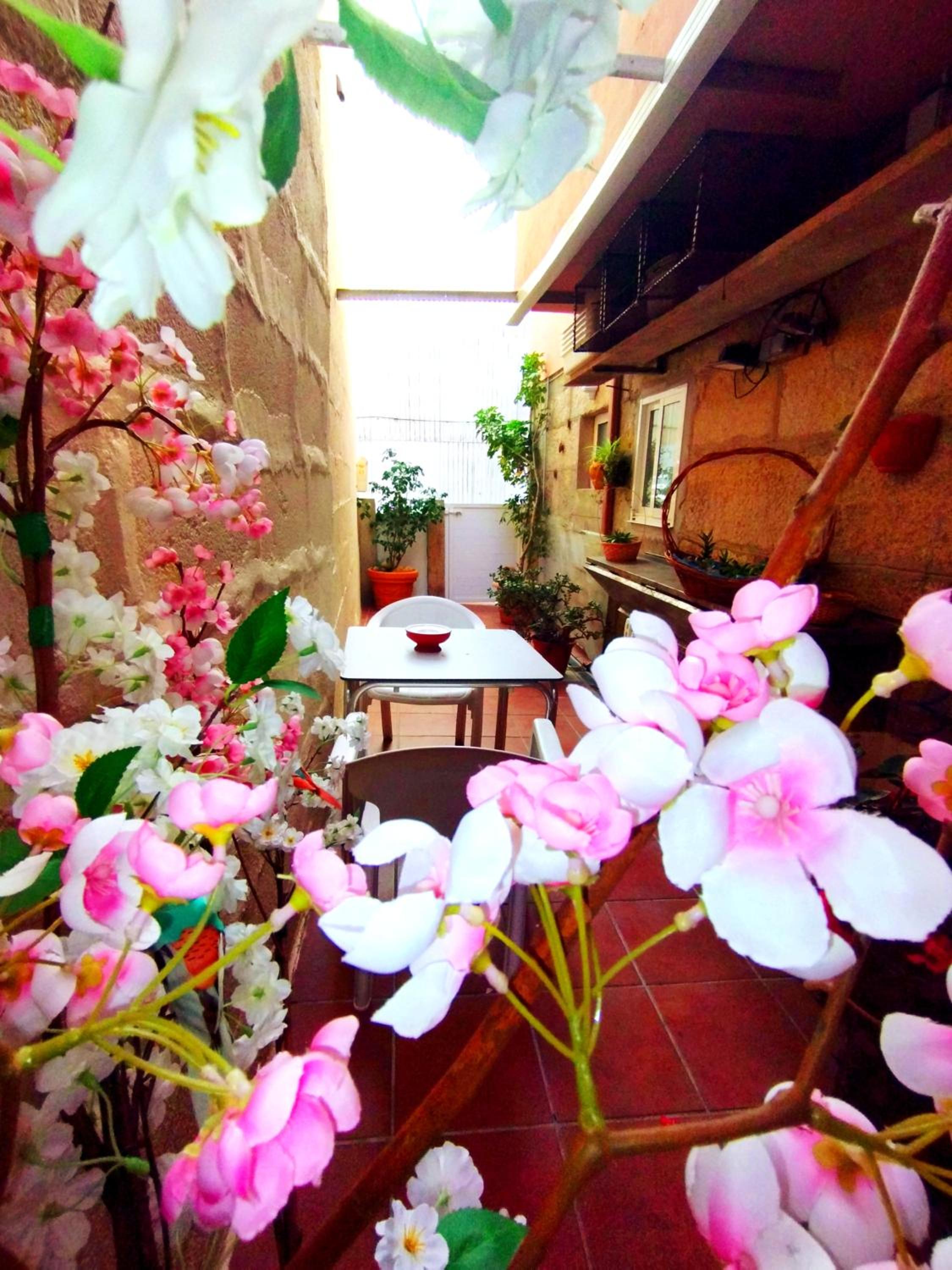 CasaPuri