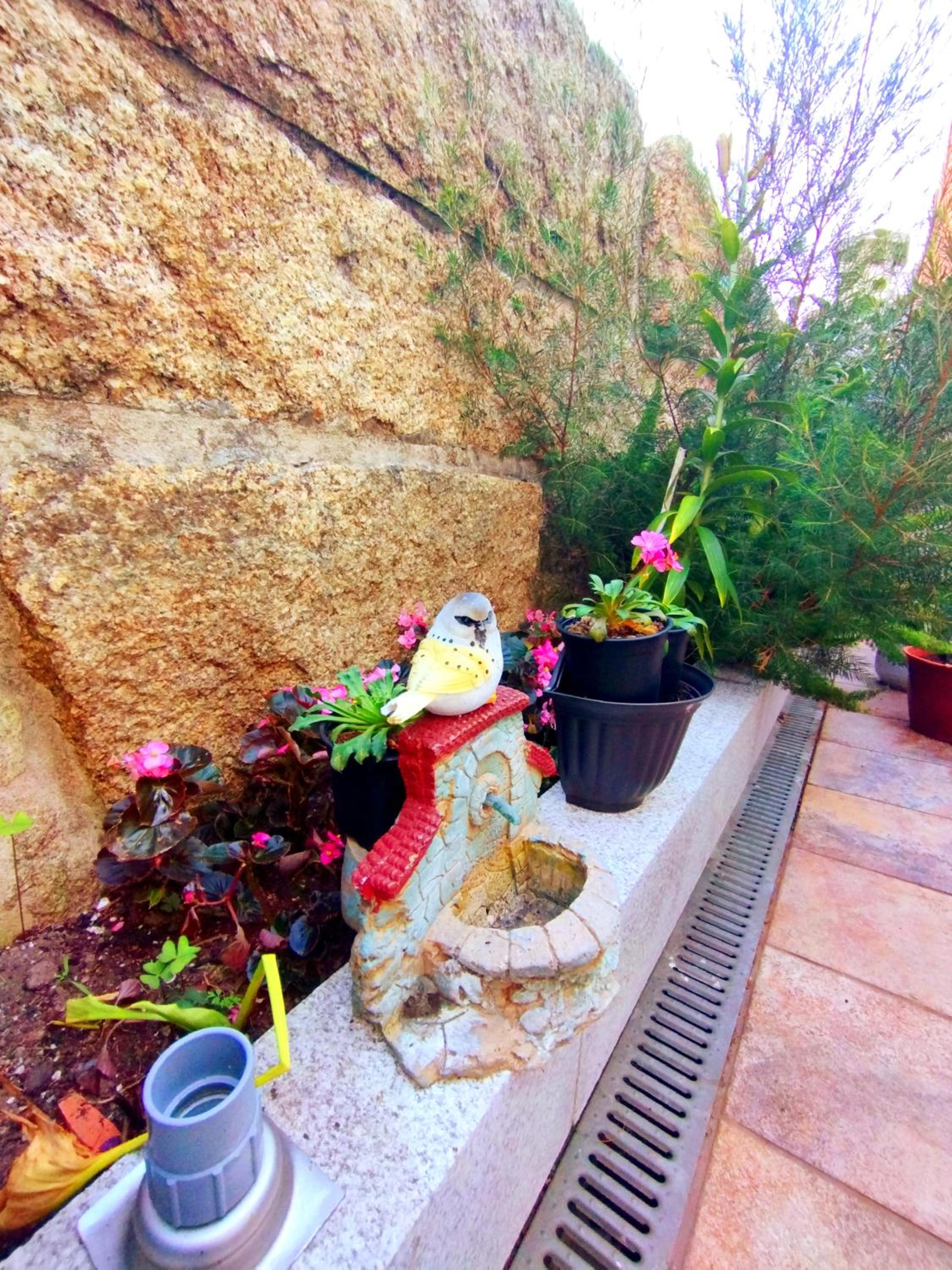 CasaPuri