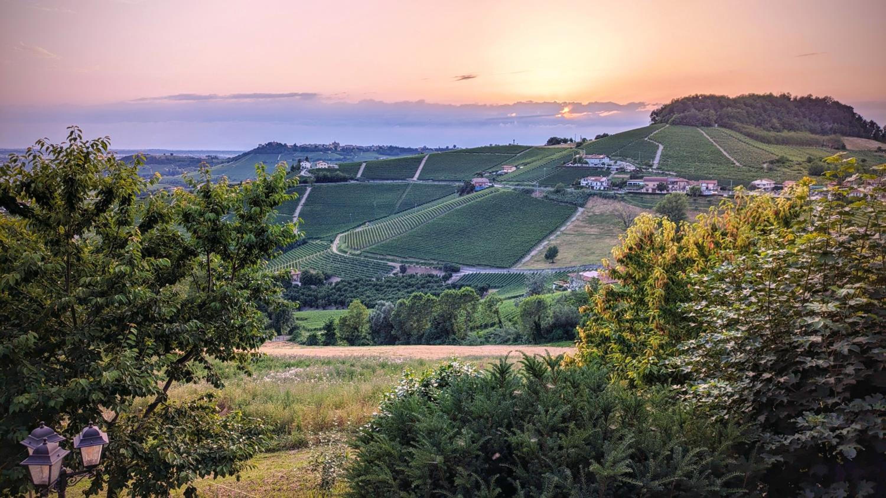 Charming Barolo Wine Loft view 5