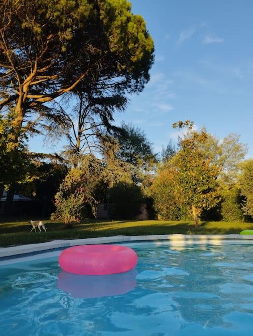 Appartamento in Casa Pilar con piscina photo 2