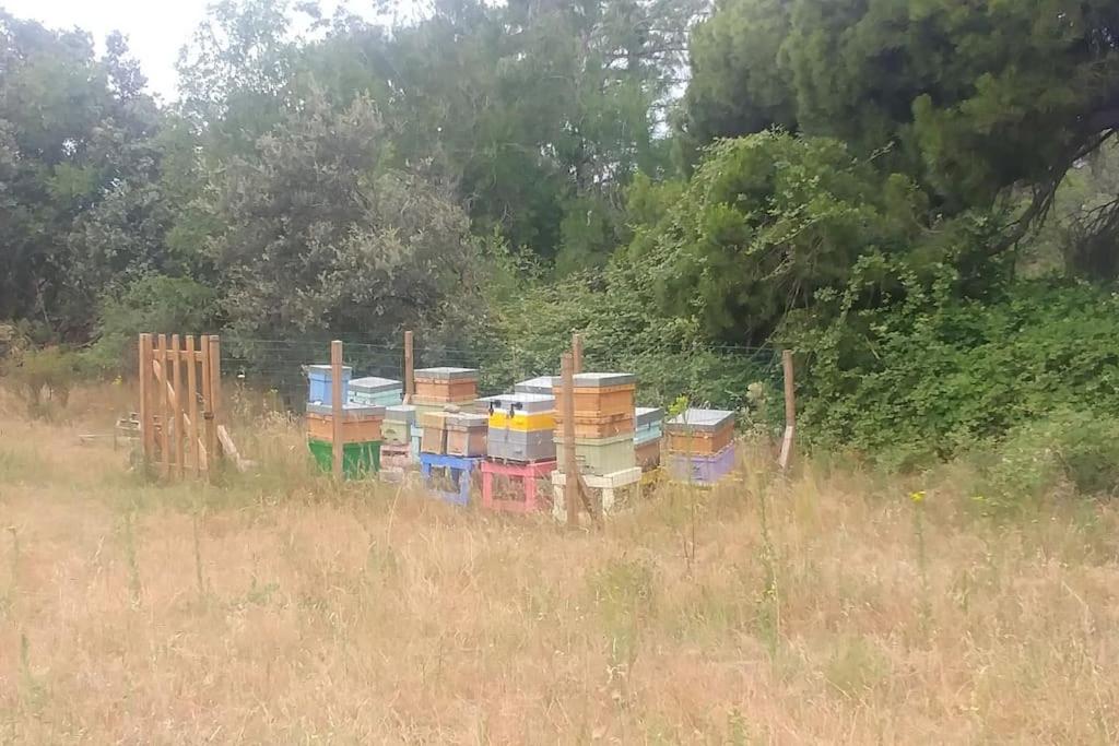 Casa en campo para desconectar en Madrid con Animales