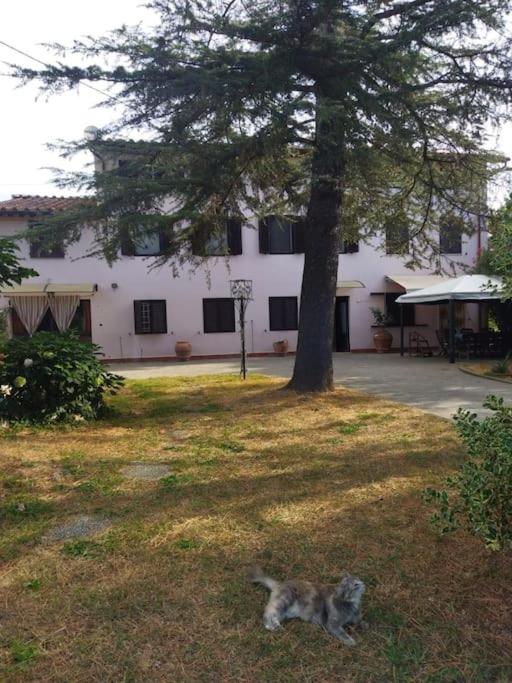 Appartamento in Casa Pilar con piscina photo 4