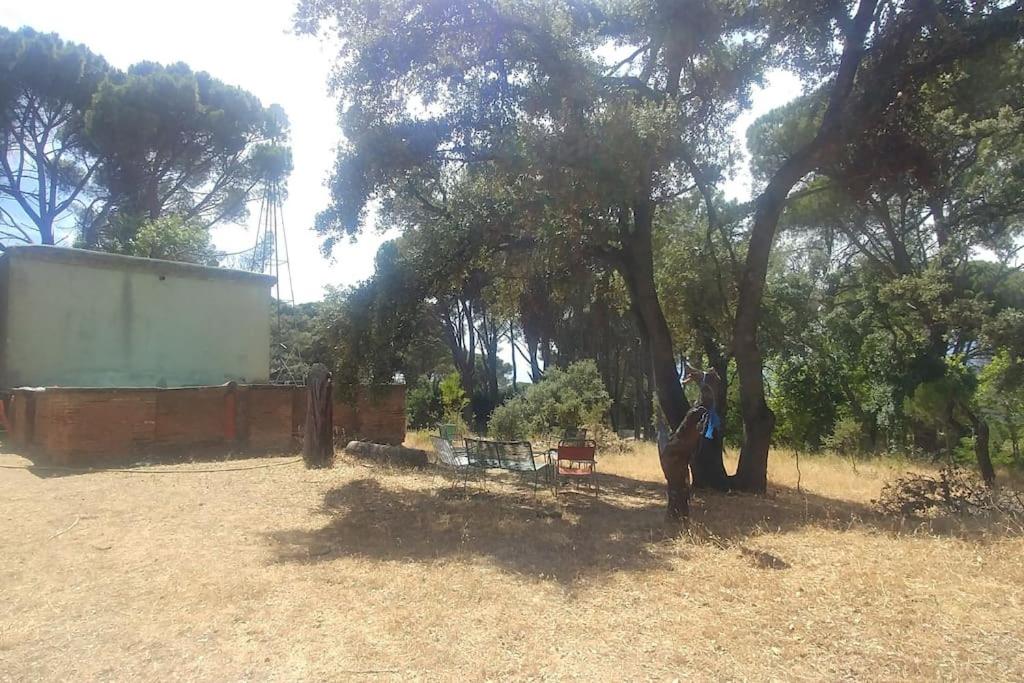 Casa en campo para desconectar en Madrid con Animales