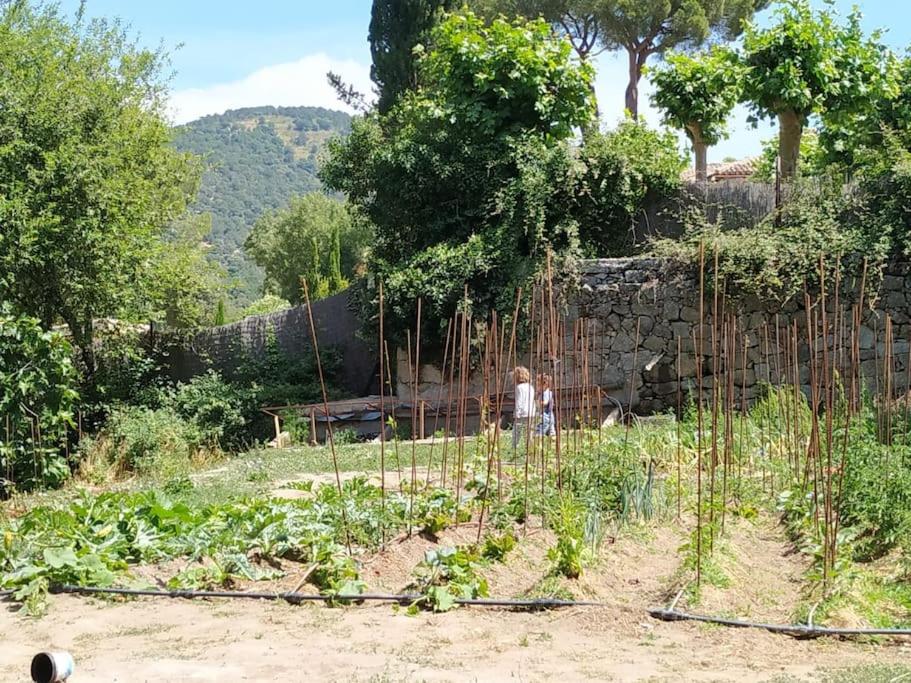 Casa en campo para desconectar en Madrid con Animales
