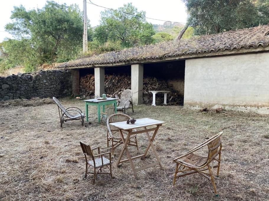 Casa en campo para desconectar en Madrid con Animales