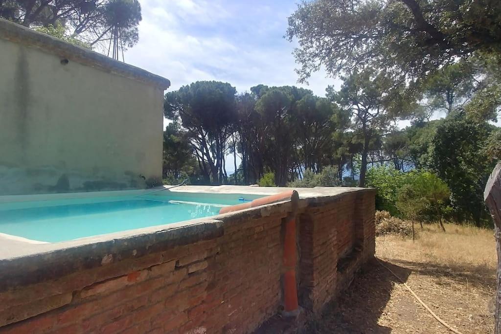 Casa en campo para desconectar en Madrid con Animales