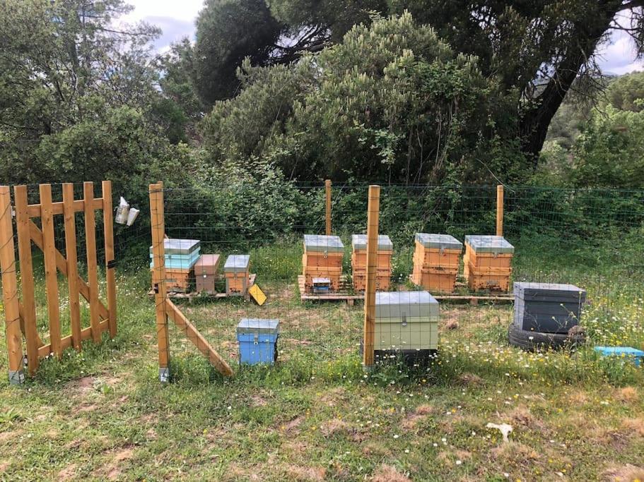 Casa en campo para desconectar en Madrid con Animales