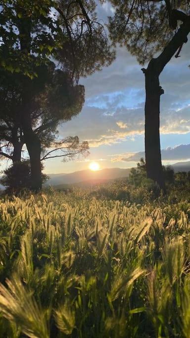 Casa en campo para desconectar en Madrid con Animales