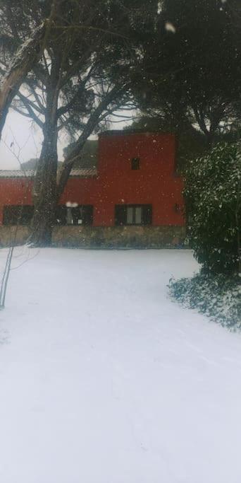 Casa en campo para desconectar en Madrid con Animales