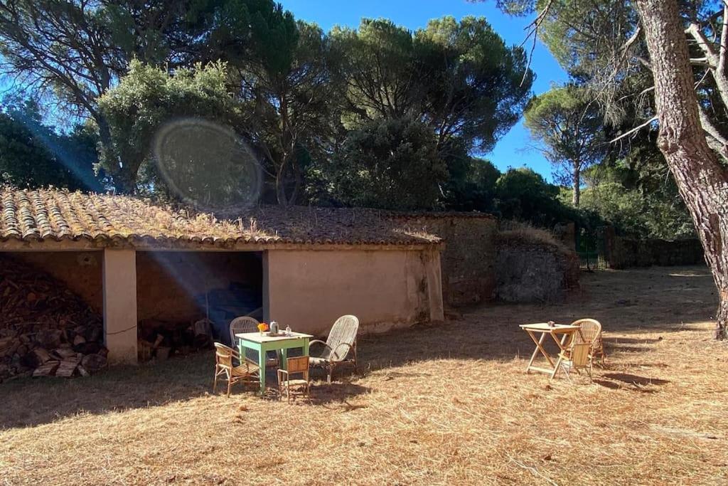 Casa en campo para desconectar en Madrid con Animales