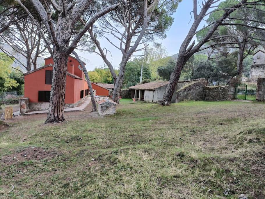 Casa en campo para desconectar en Madrid con Animales