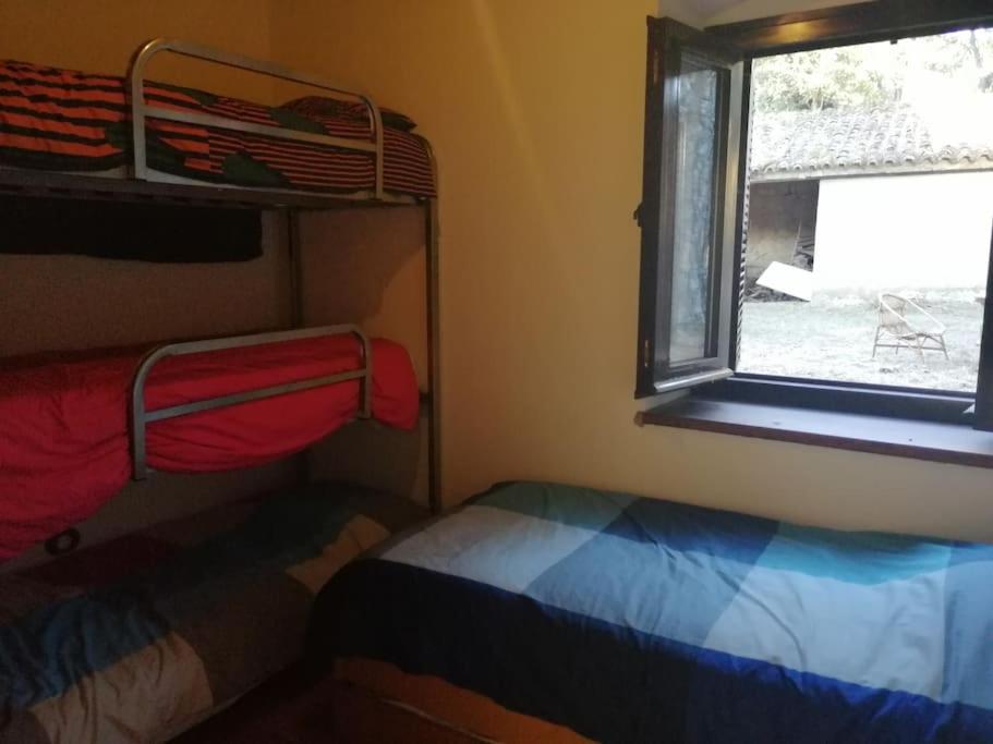 Casa en campo para desconectar en Madrid con Animales