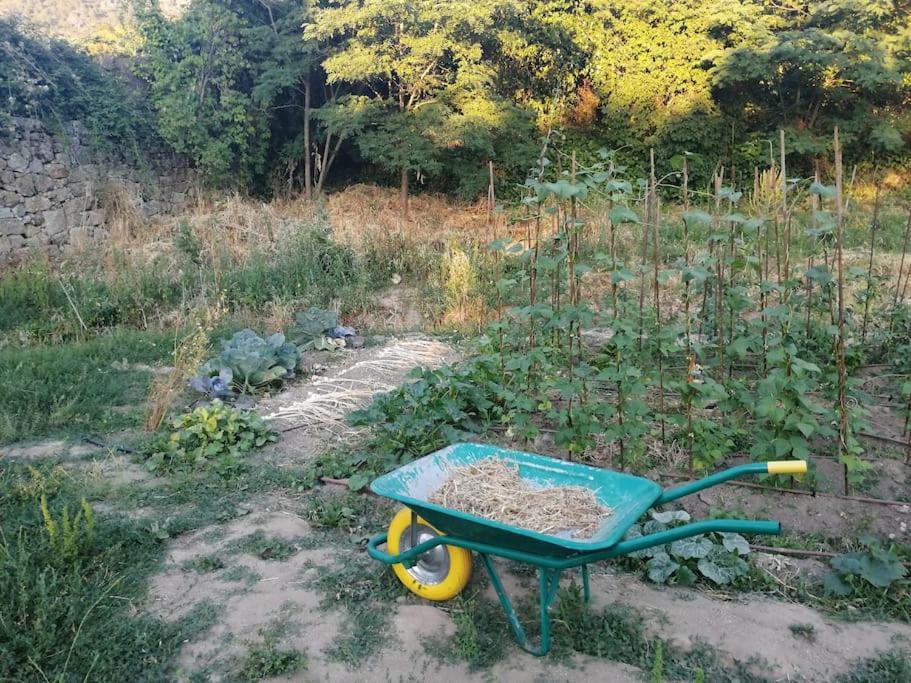 Casa en campo para desconectar en Madrid con Animales