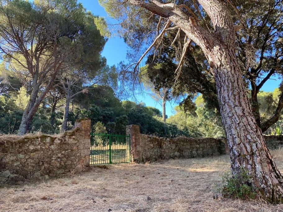 Casa en campo para desconectar en Madrid con Animales