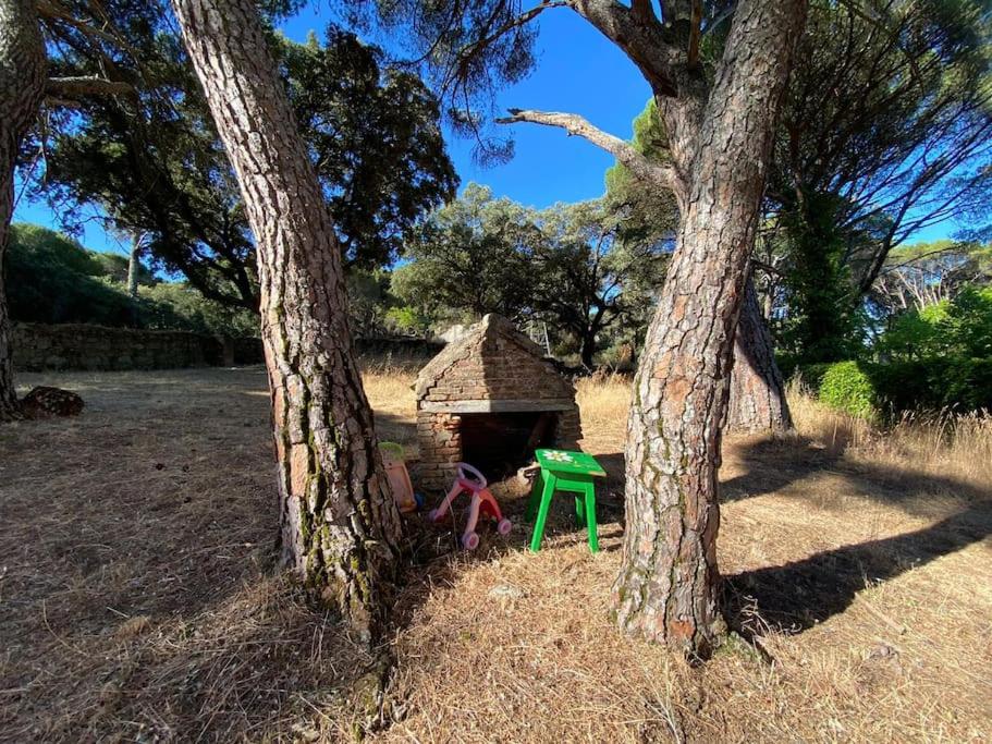 Casa en campo para desconectar en Madrid con Animales