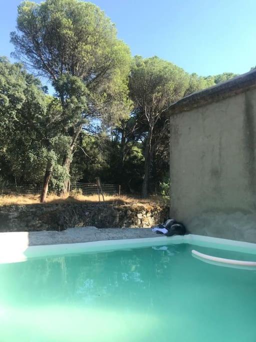 Casa en campo para desconectar en Madrid con Animales