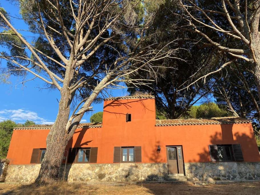 Casa en campo para desconectar en Madrid con Animales