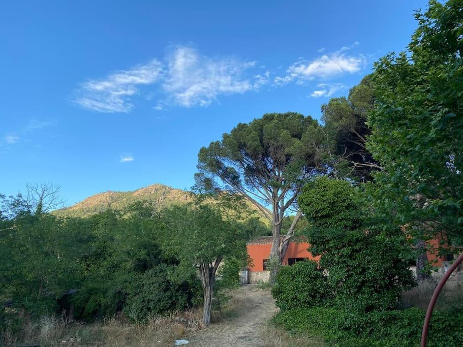 Casa en campo para desconectar en Madrid con Animales