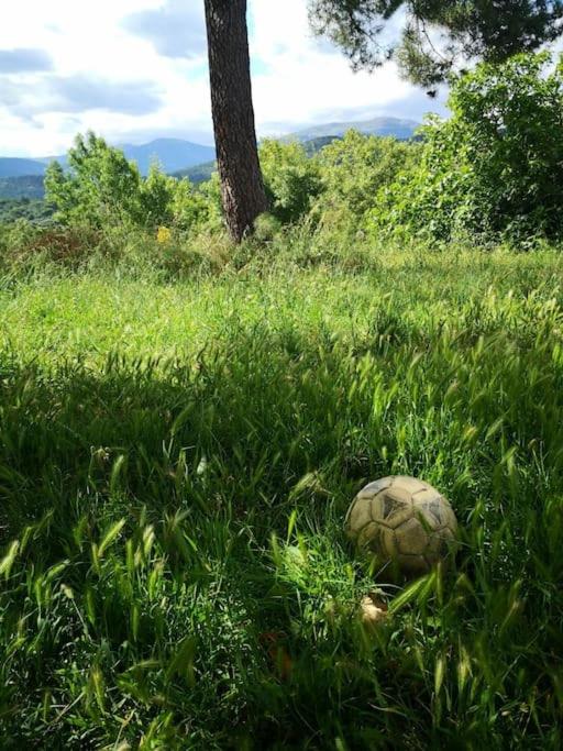 Casa en campo para desconectar en Madrid con Animales