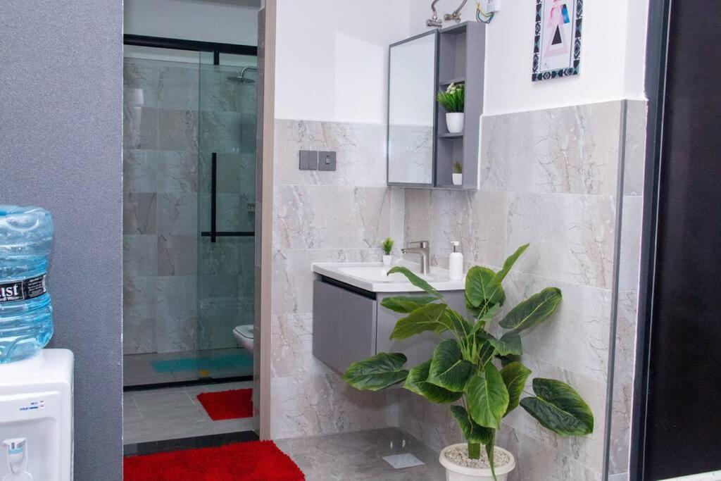 Modern 1 Bedroom Apartment