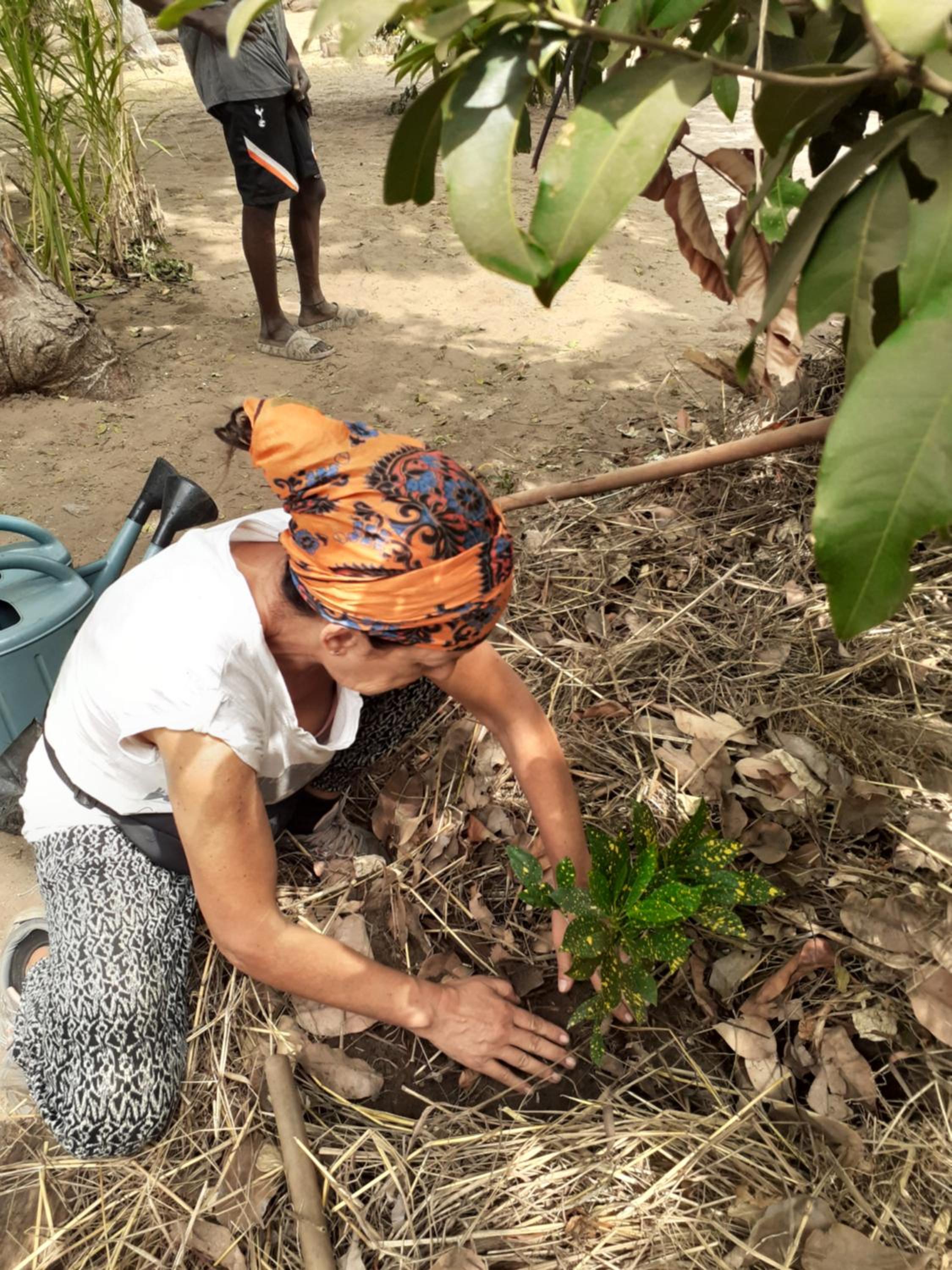 Photo 47