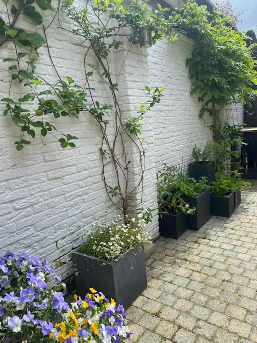Leuk huis in Oldenzaal in een gezellige straat