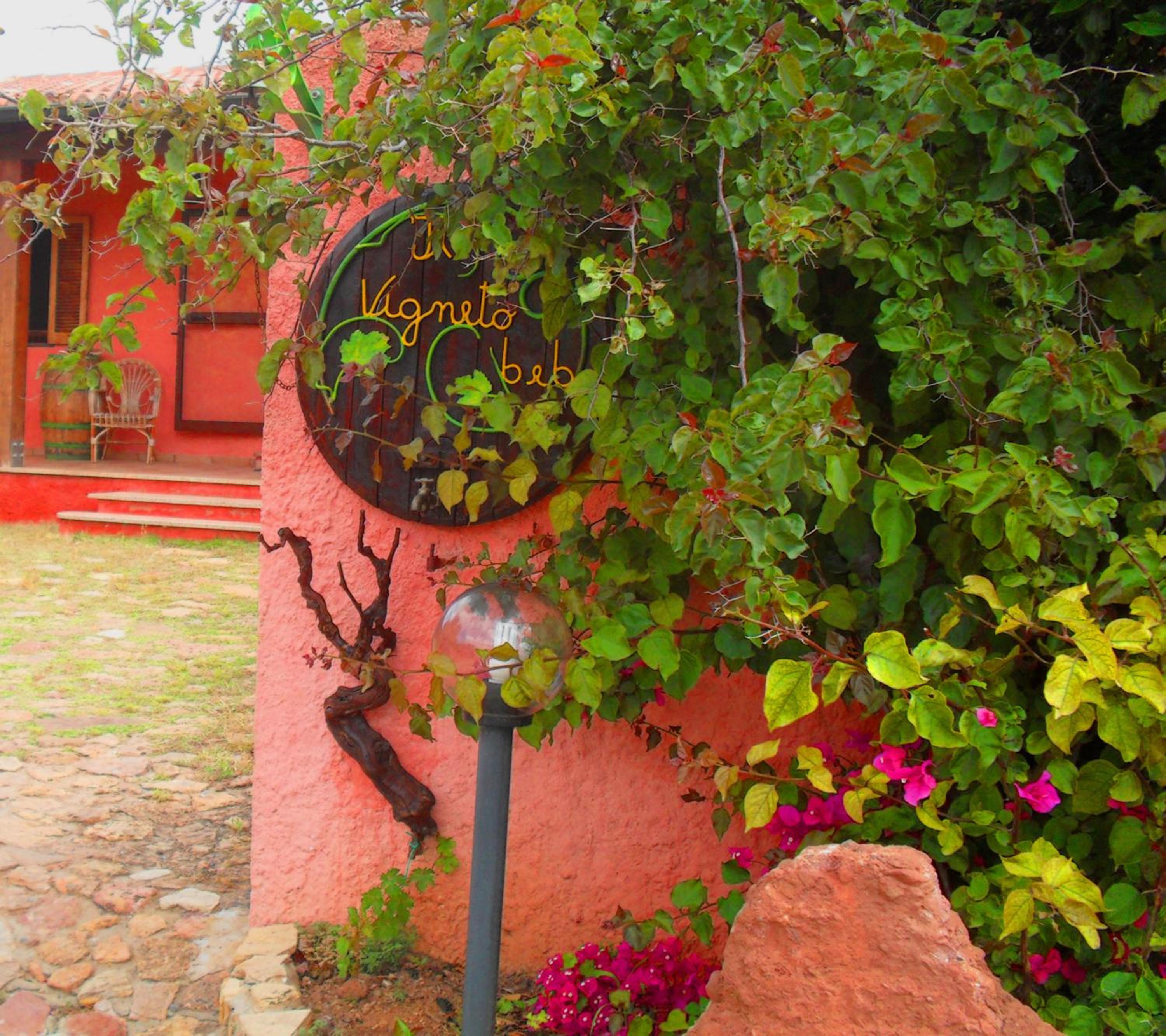 Il Vigneto B&B photo 5