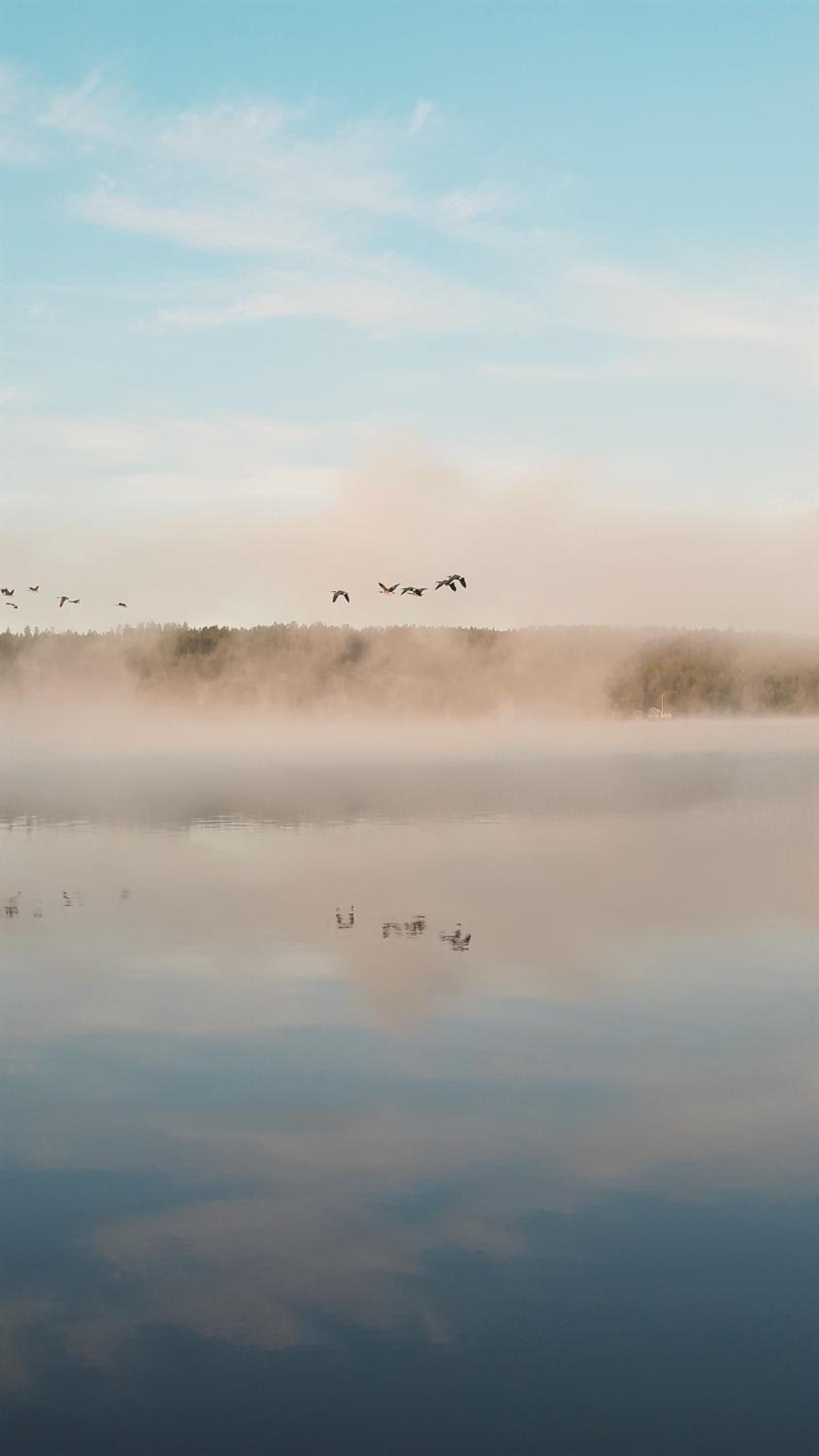 Sandnässtuga