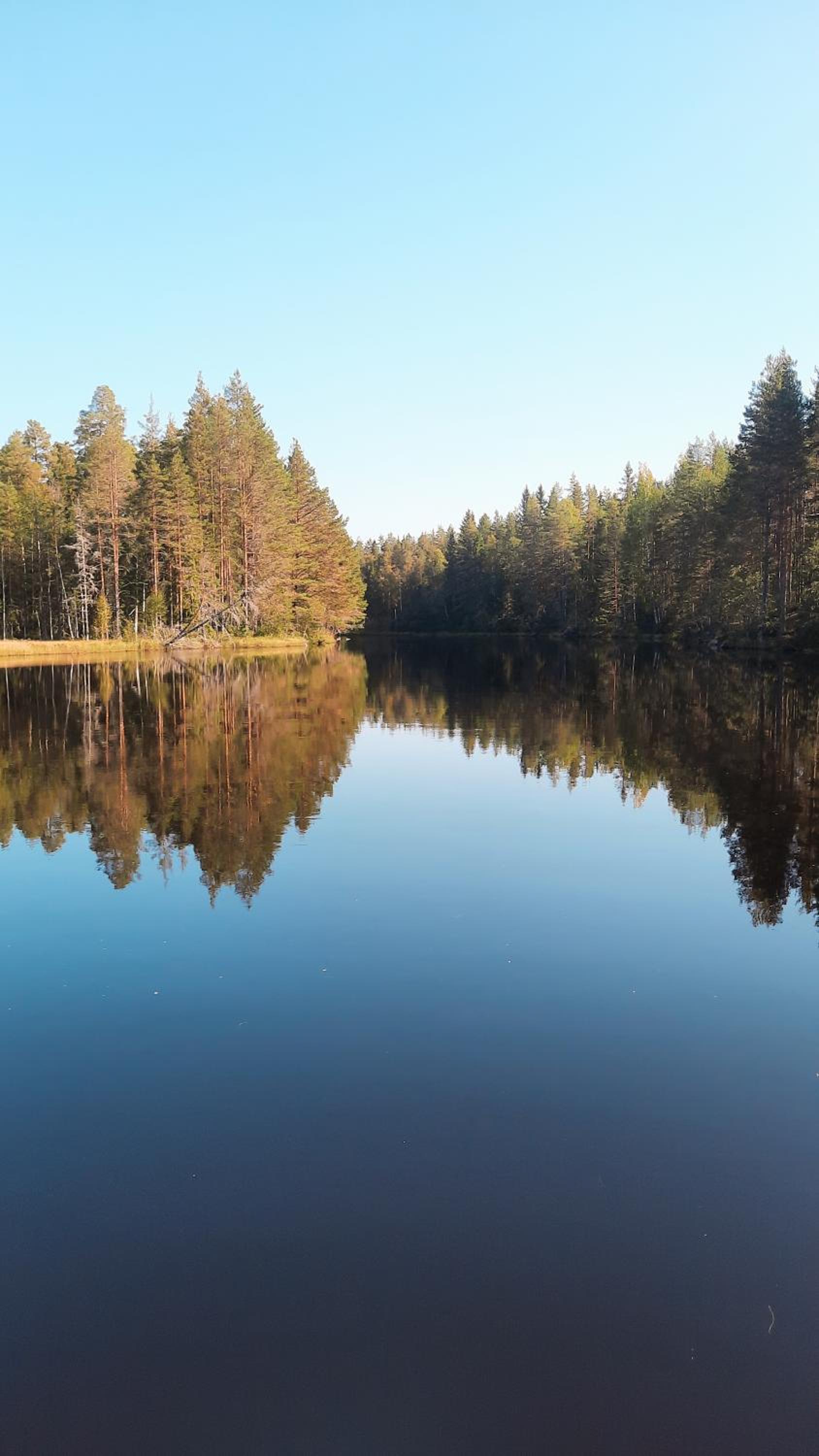Sandnässtuga
