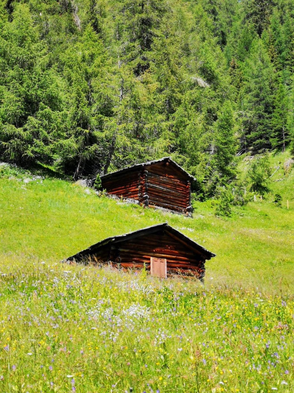 Haus Oschtna