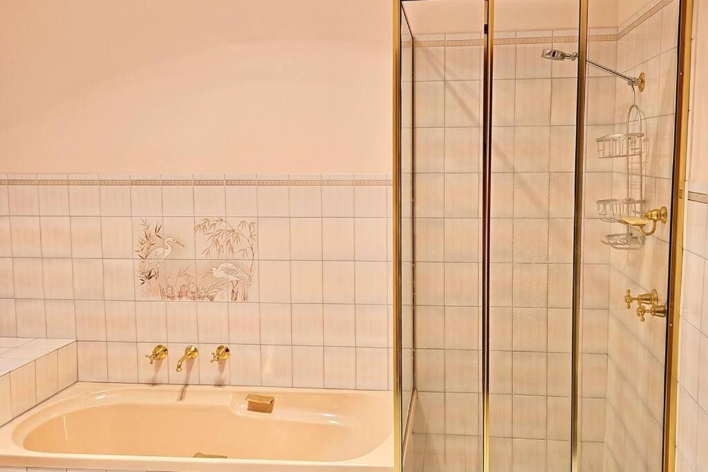 Entire guesthouse pool, cinema, tennis, karoake
