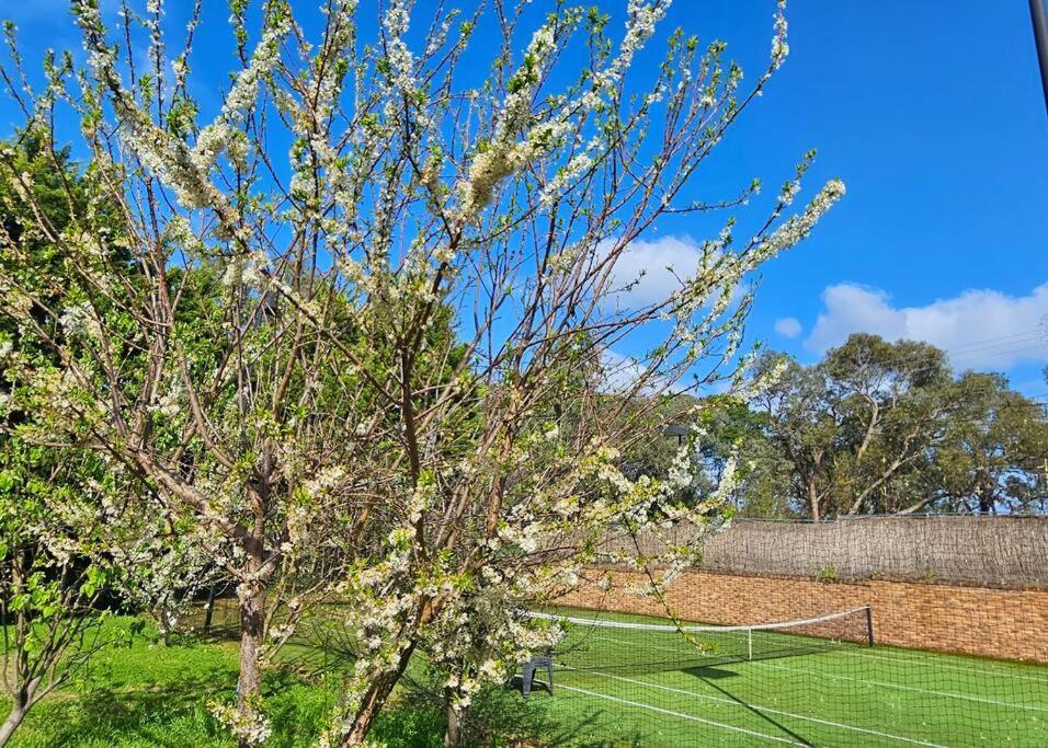 Entire guesthouse pool, cinema, tennis, karoake