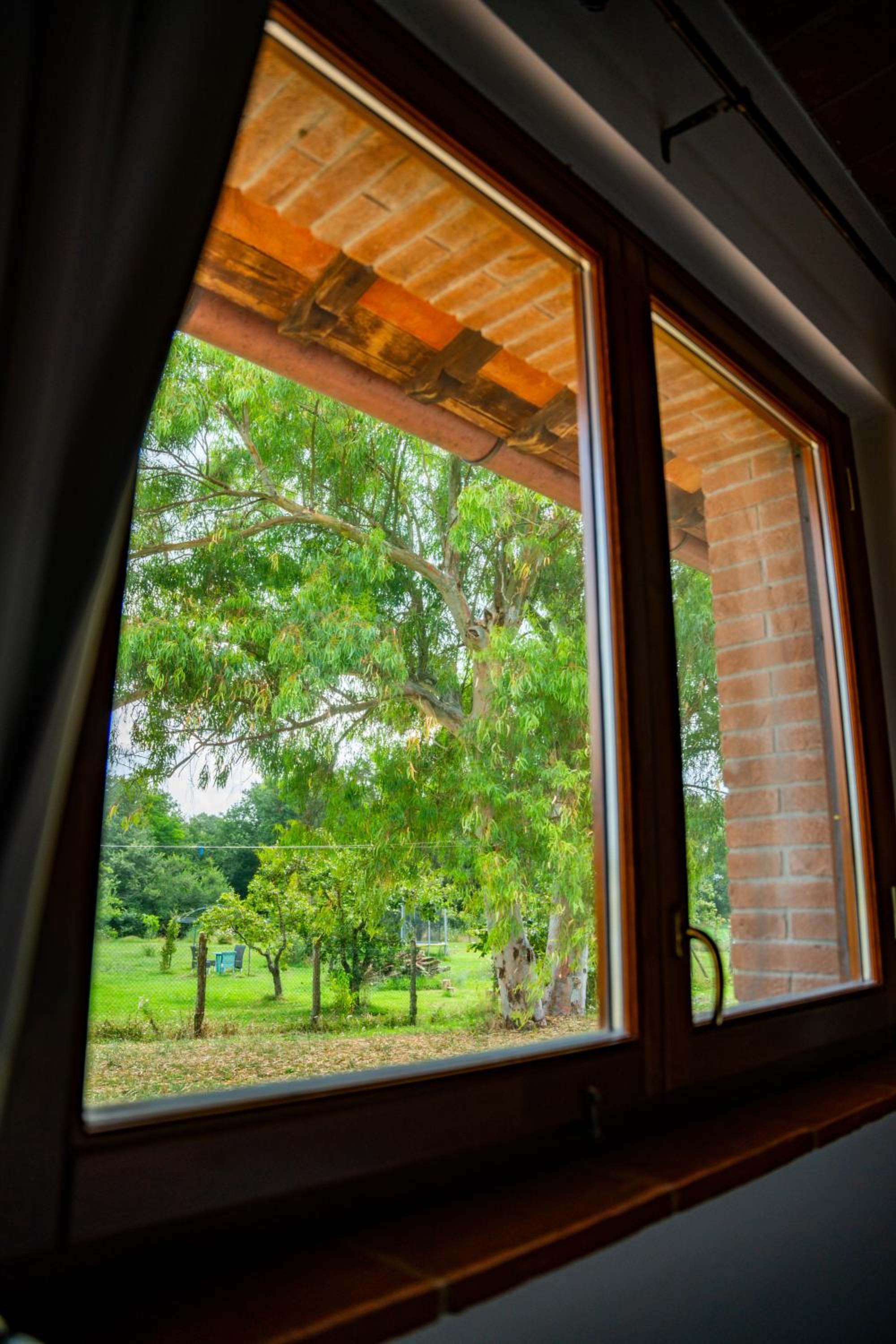 Agriturismo Anfora della Vita