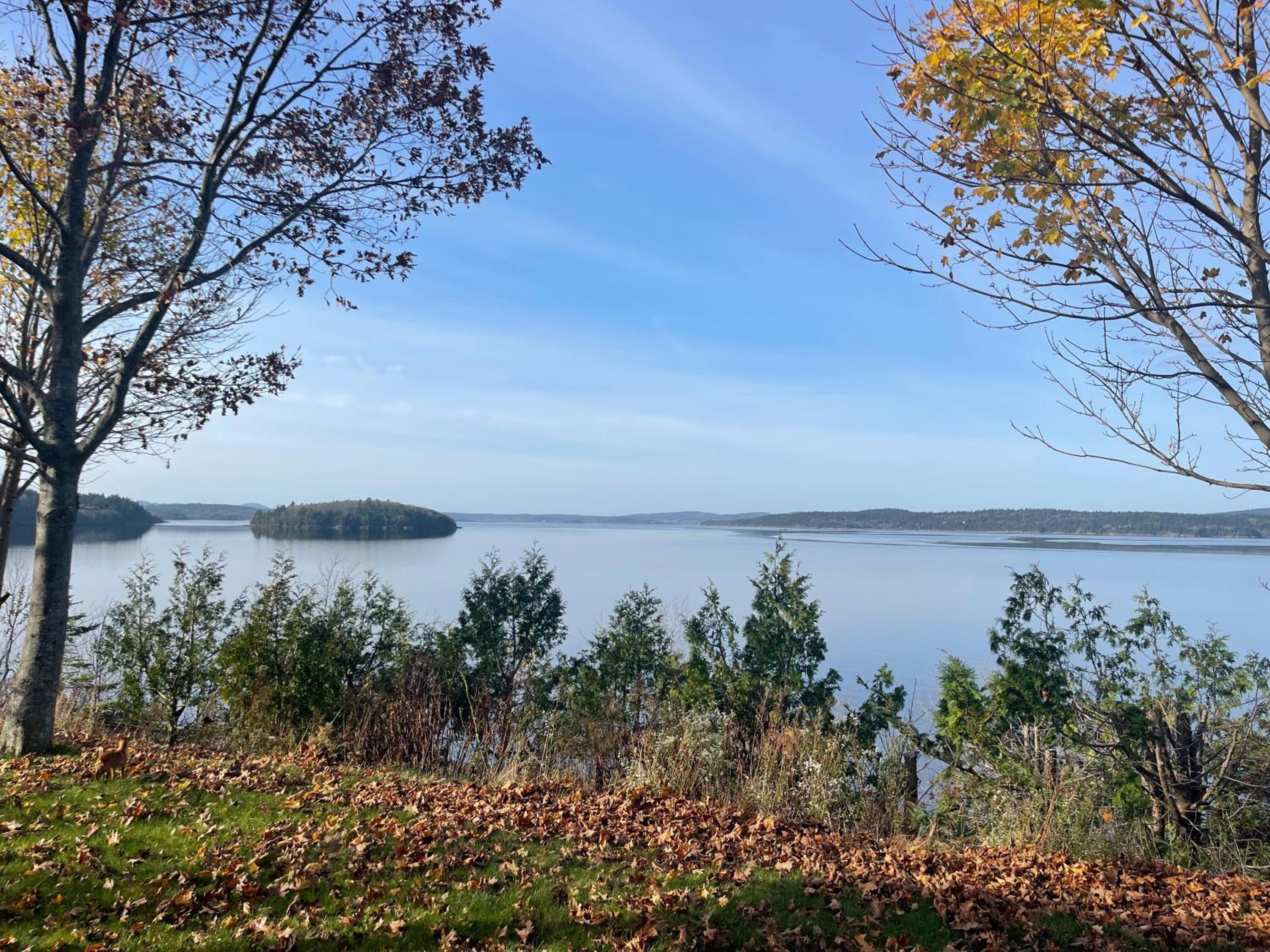 Lux Waterfront Private 4bd home