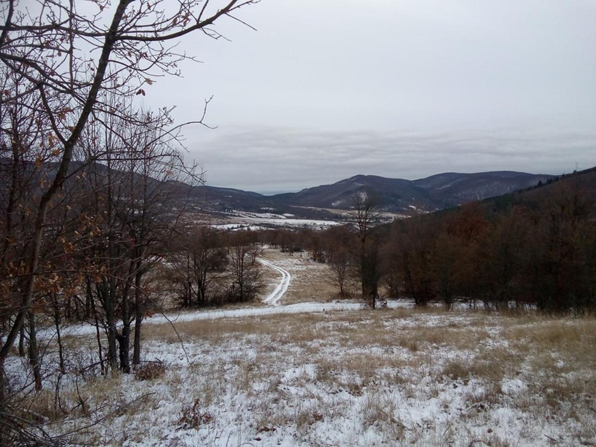 Photo 24