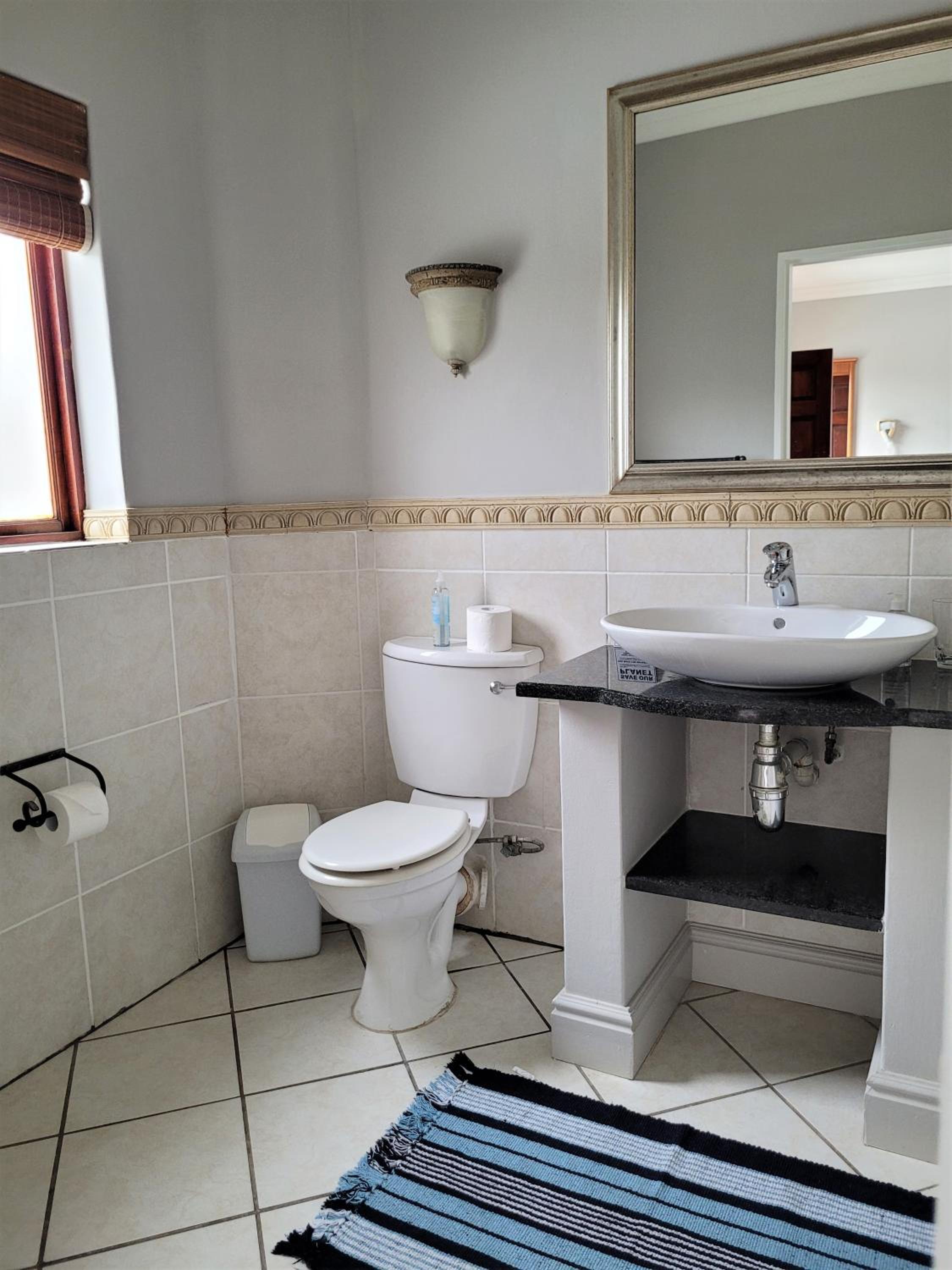 Plett D'light
