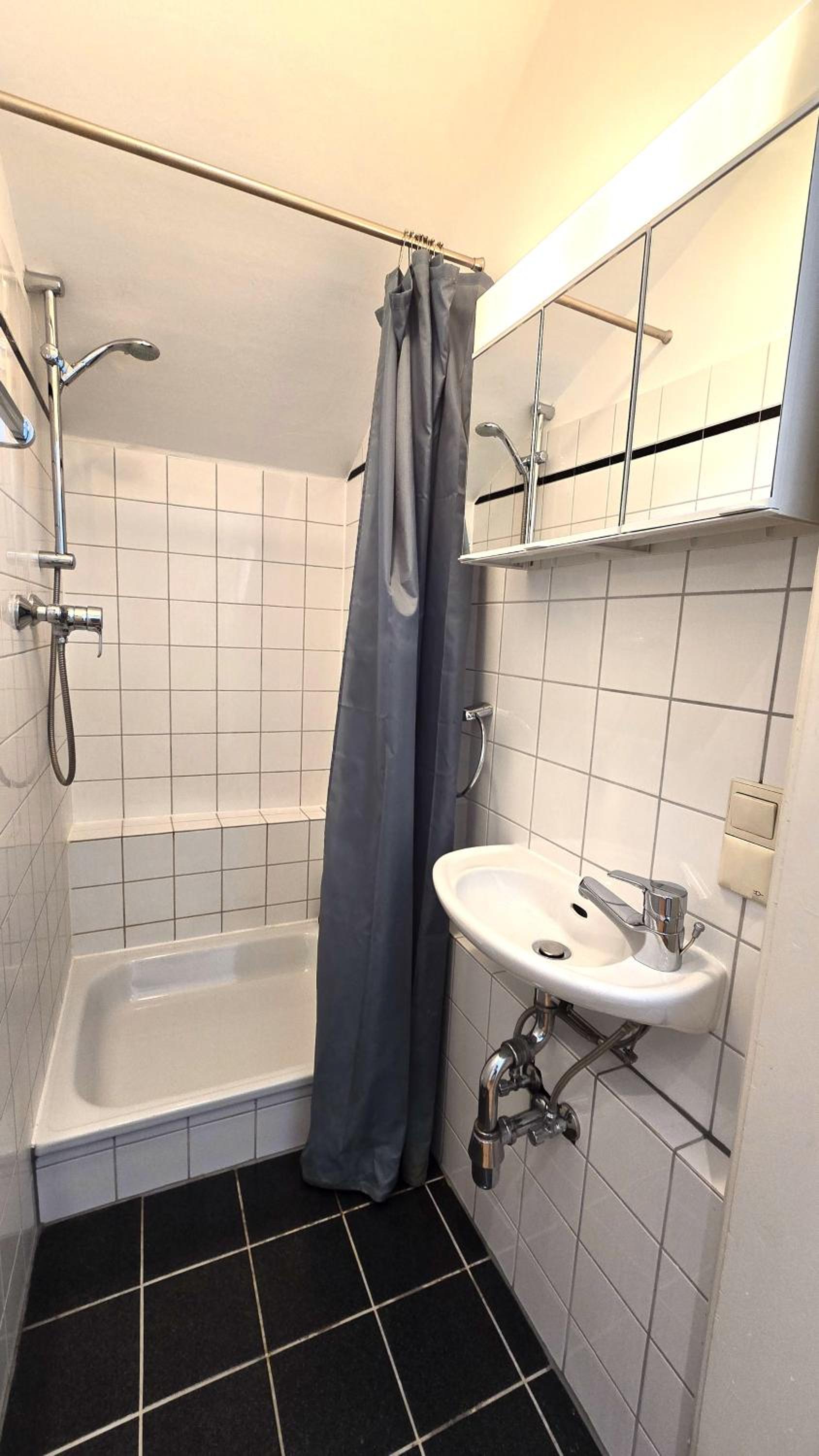 Großzügige Altbauwohnung mitten in der City