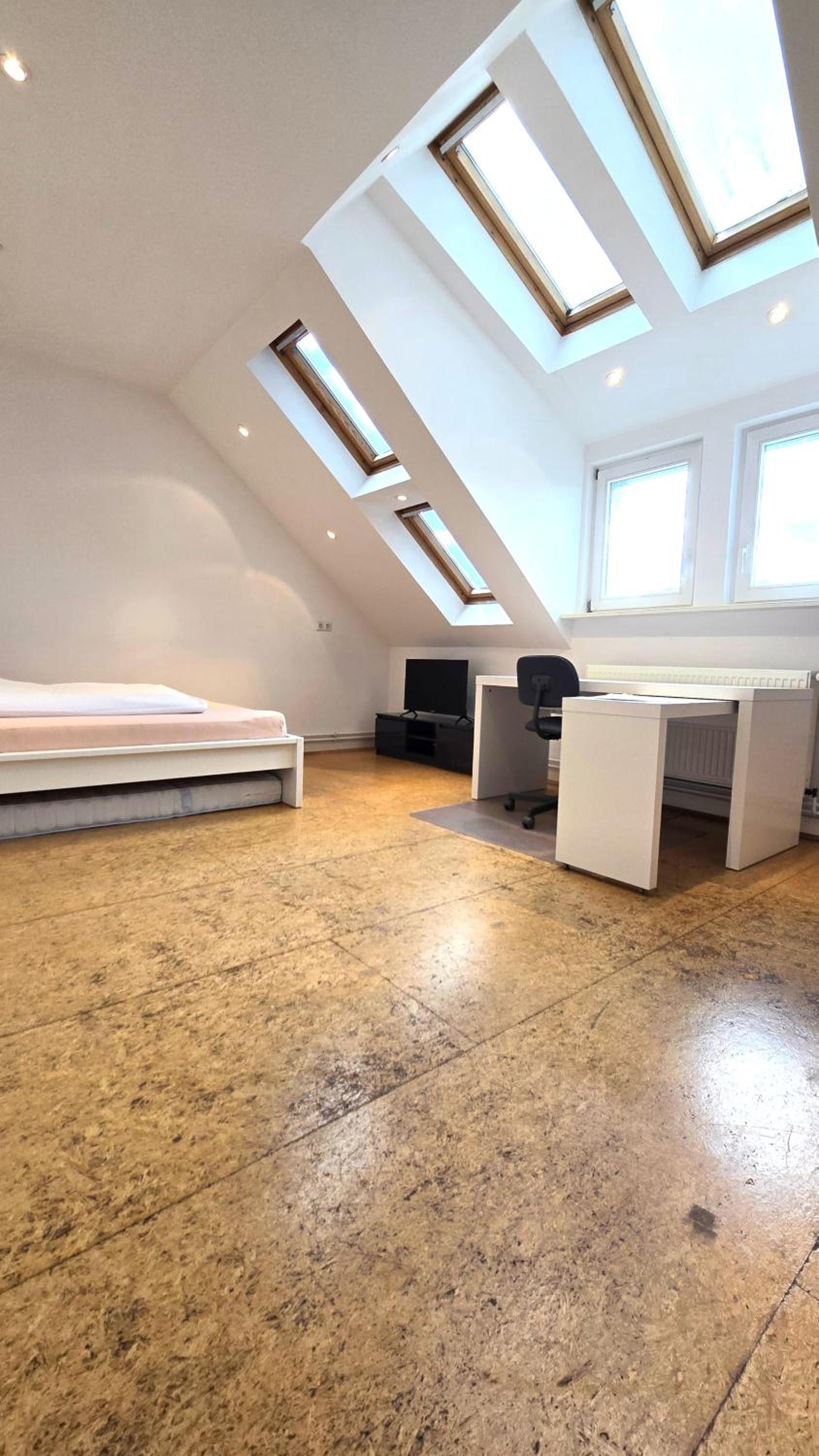 Großzügige Altbauwohnung mitten in der City