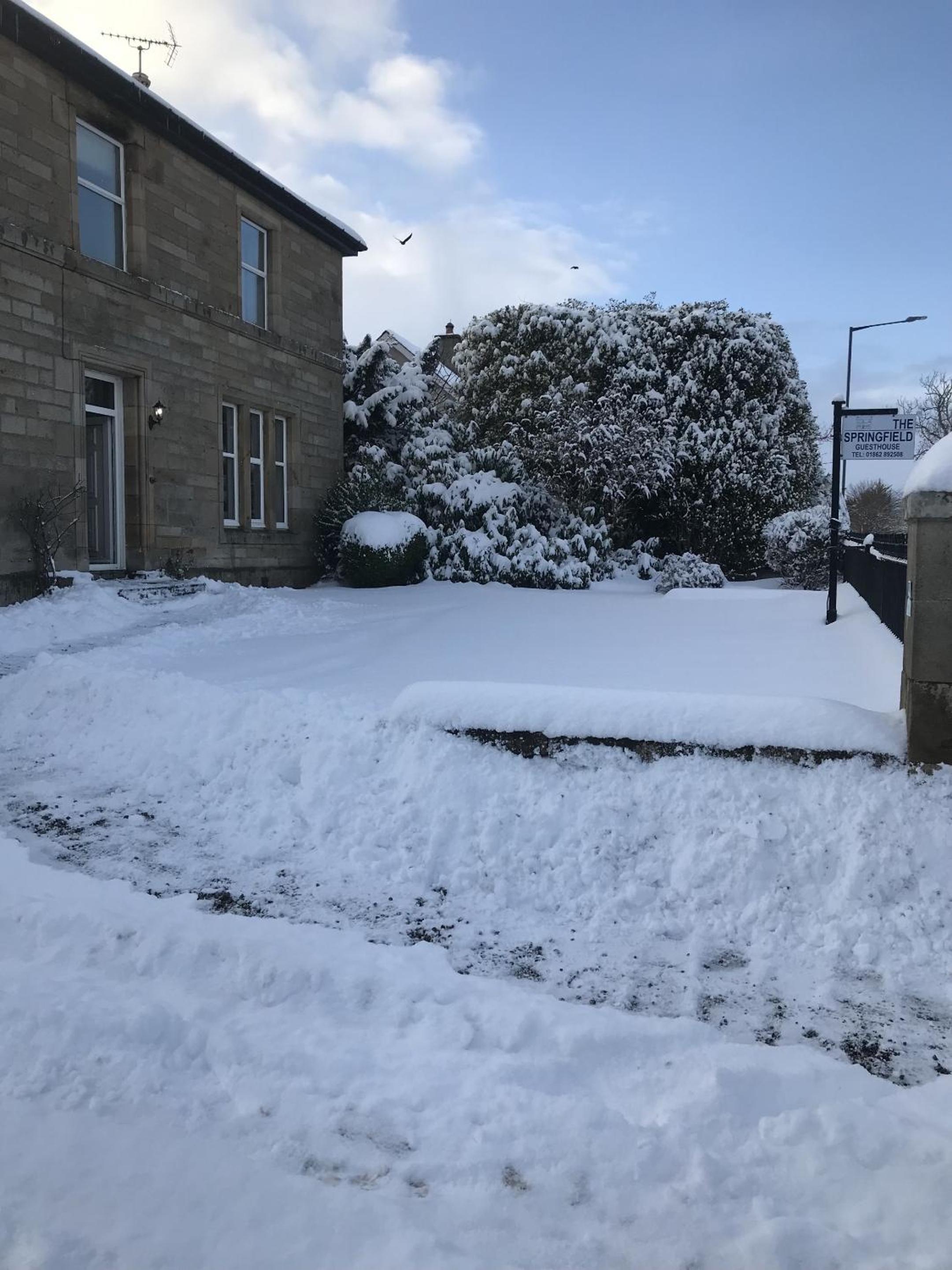 Springfield guest house view 3