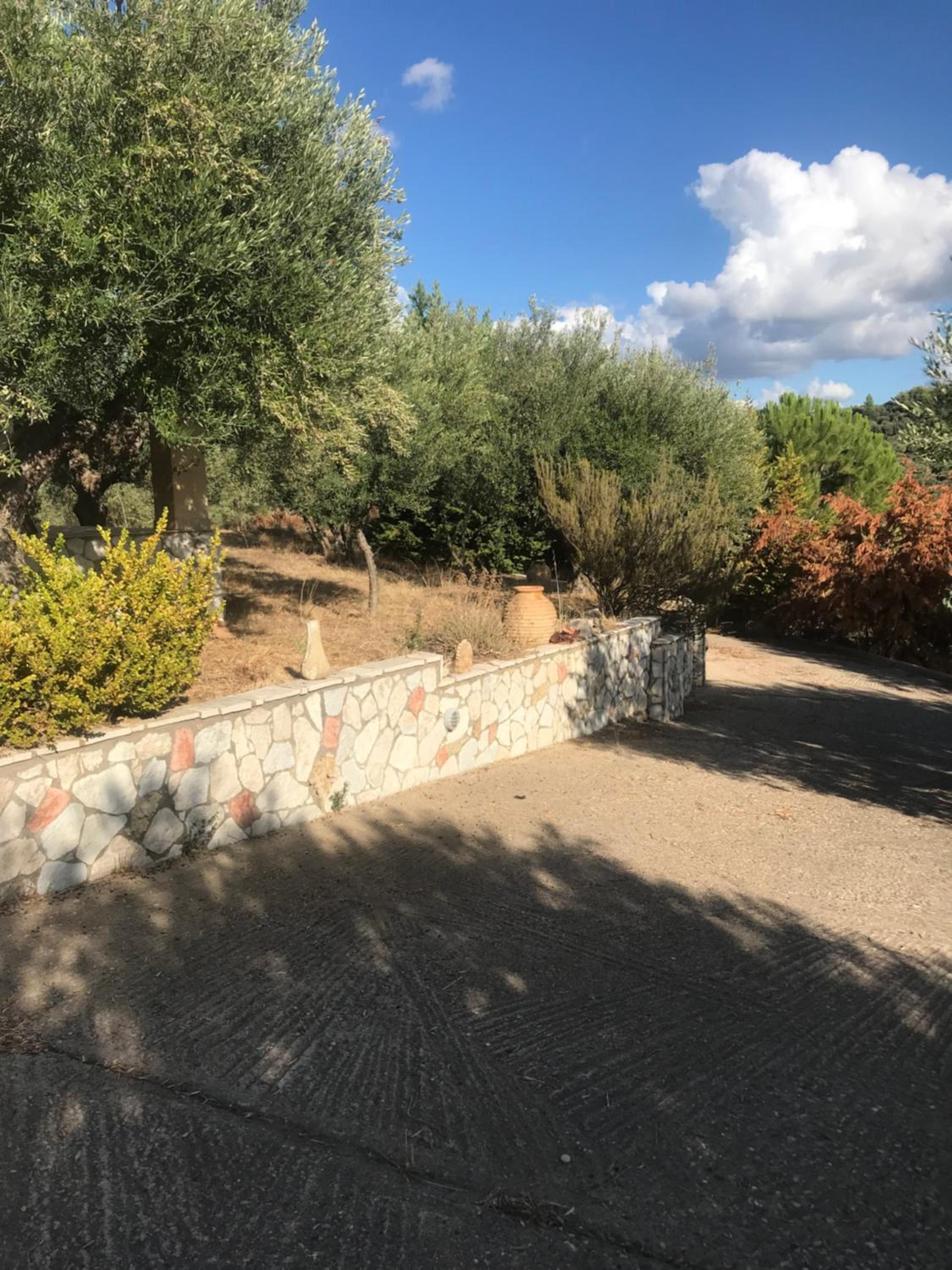 Photo 35