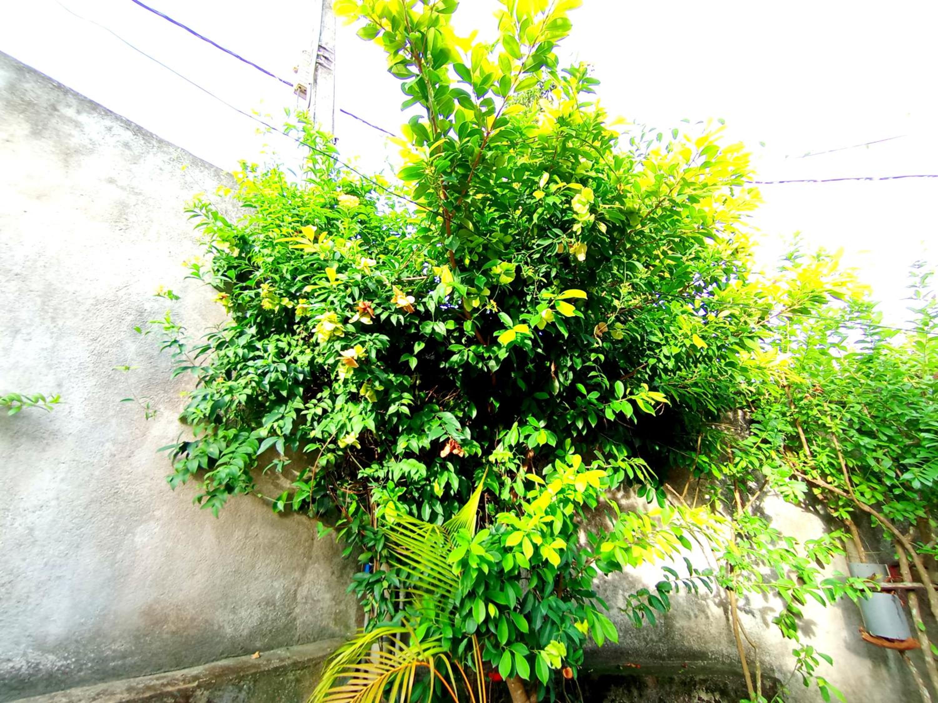 Photo 30